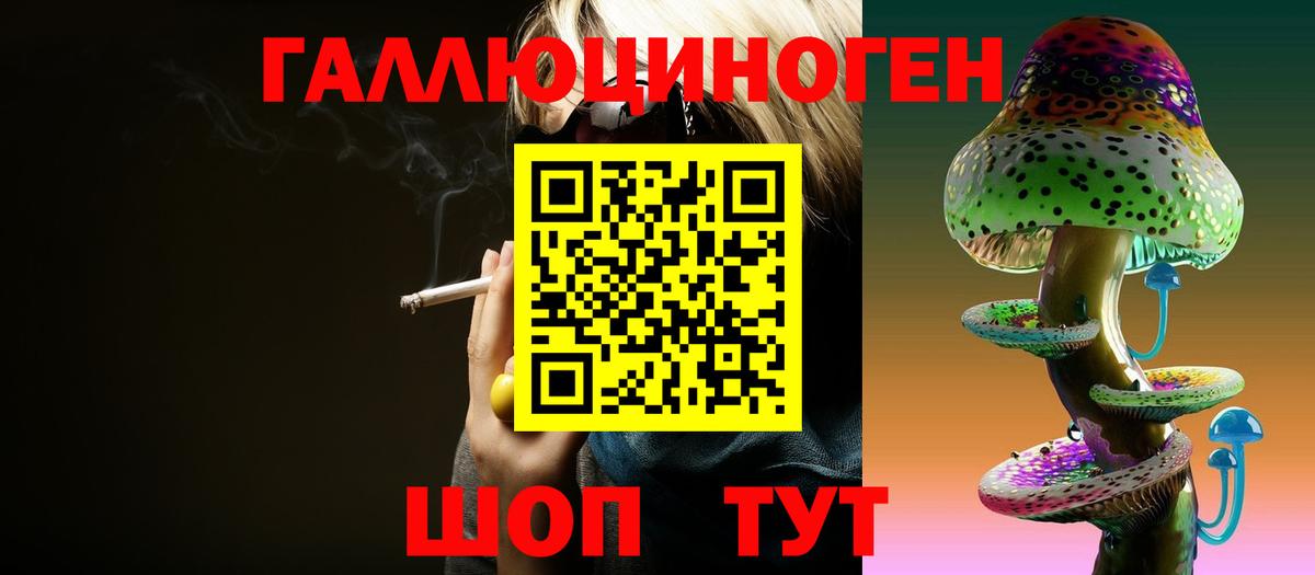 Алексин  Псилоцибиновые грибы Psilocybine cubensis  Вход с VPN 